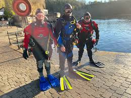 Image result for London Hellfins