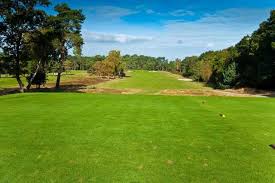 Image result for Blackmoor Golf Club