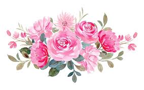 Image result for FOTO ROSA