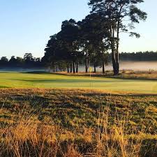 Image result for Hankley Common Golf Club