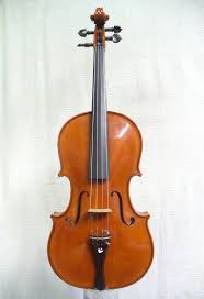 Viola