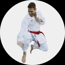 Image result for Plymouth Karate Club Kyokai