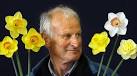 Bill Cowie, of Boggyburn, with a few of the daffodils he was preparing to ... - 656135