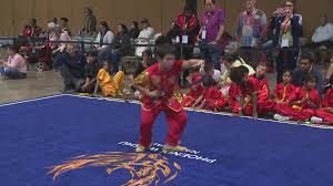 Image result for Phoenix Martial Arts