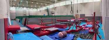 Image result for City Of Coventry Rhythmic Gym Club