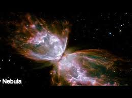 Attēlu rezultāti vaicājumam “Leptophlebia nebulosa”