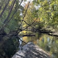 Image result for Pond Granger Performing Arts