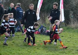 Image result for Farnham Rugby Union Football Club