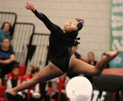 Image result for Angmering Gymnastics