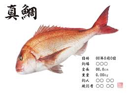 「魚拓」的圖片搜尋結果