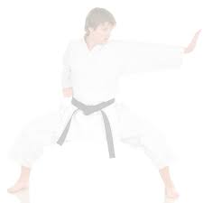 Image result for Nottingham Sankukai Karate