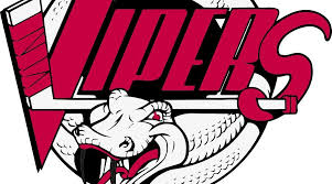 Image result for Vipers Roller Hockey Team