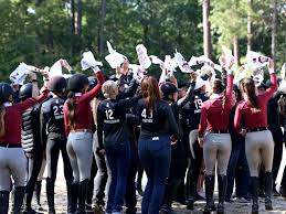 Image result for South Weylands Equestrian