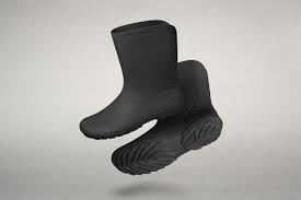 Attēlu rezultāti vaicājumam “Ranidae”