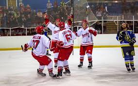 Image result for Streatham Night Wolves Ice Hockey Team