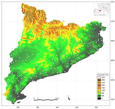 Image result for catalans universals