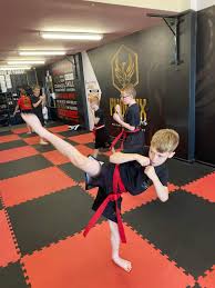 Image result for Phoenix Martial Arts
