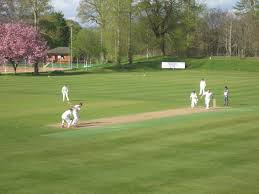 Image result for Hillhead Cricket Club