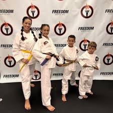 Image result for Freedom Martial Arts
