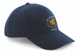 Image result for Wembdon Cricket Club