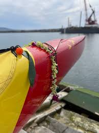 Image result for Tamworth Canoe Club