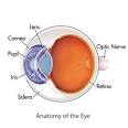 Eye Problems Are Terrifying - Discover Some Easy Solutions