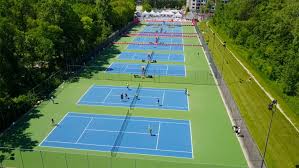 Image result for Capel Lawn Tennis Club