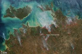 Billedresultat for kakadu n...