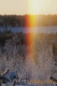 Kuvahaun tulos haulle haloilmi