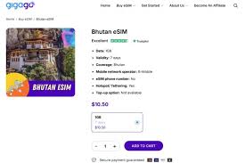 Image result for b-mobile sim