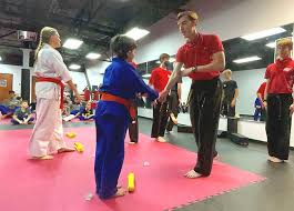 Image result for Freedom Martial Arts