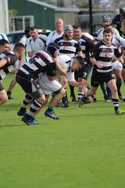 Image result for St Mary's Old Boys Rugby Football Club