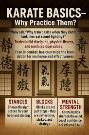 Image result for North Yorkshire Goju Ryu Karate Club
