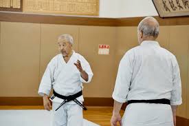 Image result for Ifield Shotokan Karate Club