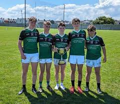 Image result for Causeway Hurling Club