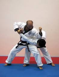 Image result for Springwood Karate
