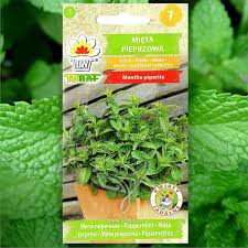 Image result for Mentha piperita