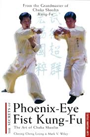 Image result for Phoenix Martial Arts