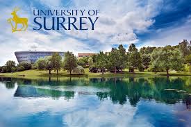 Image result for University Of Surrey
