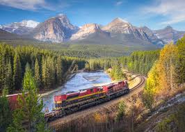 Résultat de recherche d'images pour "morant's curve"