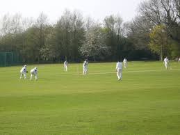 Image result for Wollaston Cricket Club