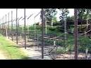 Four Pakistani rangers killed in retaliatory BSF firing after one.