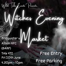 Image result for Bridgwater & Albion RFC