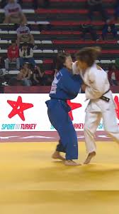 Image result for UTA Judo Club