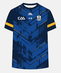 Image result for Sean Treacy`s Hurling Club