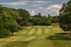 Image result for Rye Badminton Club