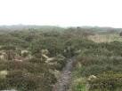 SW4029 : Caer Bran - via Daymix