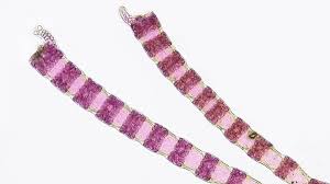 Attēlu rezultāti vaicājumam “Ceramium sp.”