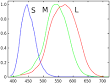 Cone cell - Wikipedia, the free encyclopedia