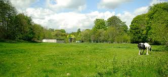 Image result for Pledwick Cricket Club